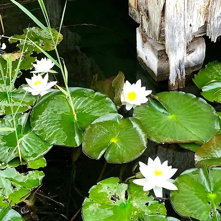 Feriensuiten Deluxe Διαμέρισμα Weissensee