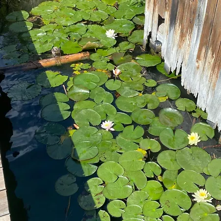 Feriensuiten Deluxe Apartment *