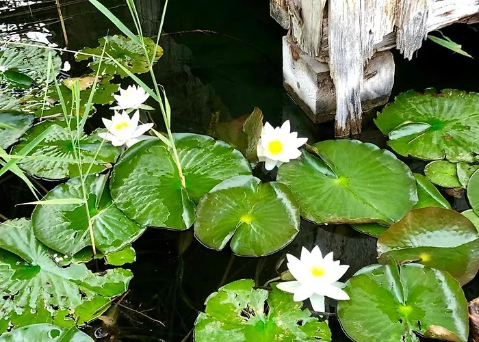 Feriensuiten Deluxe Appartamento Weissensee